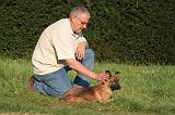 MALINOIS 026